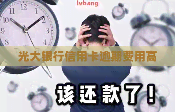 光大银行信用卡逾期费用高