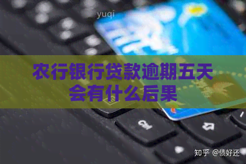 农行银行贷款逾期五天会有什么后果