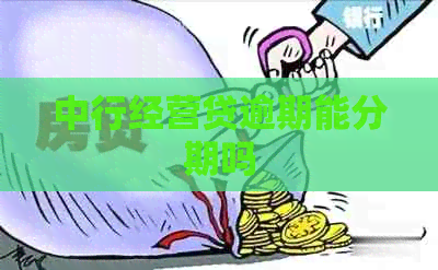 中行经营贷逾期能分期吗