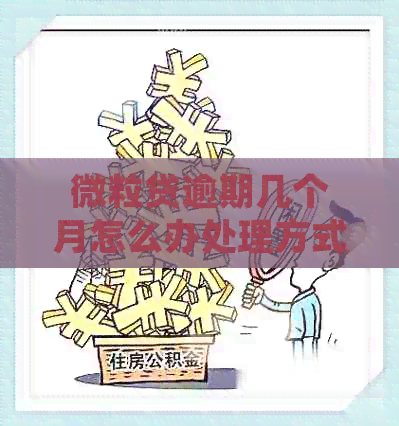 微粒贷逾期几个月怎么办处理方式