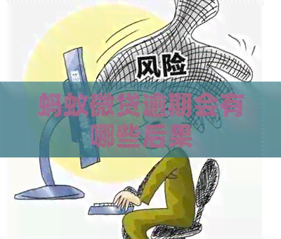 蚂蚁微贷逾期会有哪些后果