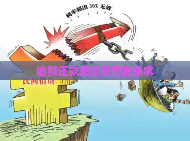 逾期还款规定及罚金要求