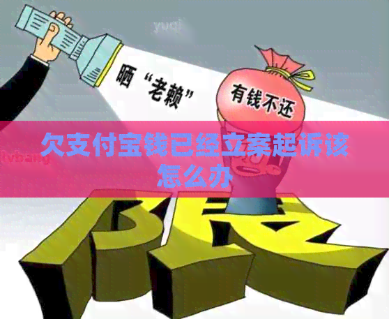 欠支付宝钱已经立案起诉该怎么办