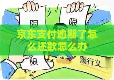 京东支付逾期了怎么还款怎么办