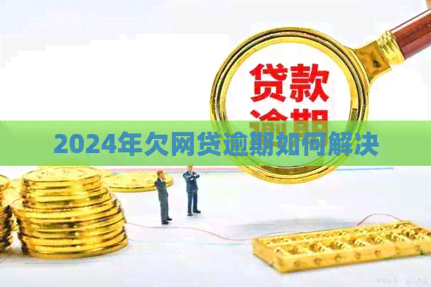 2024年欠网贷逾期如何解决