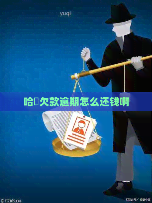 哈啰欠款逾期怎么还钱啊