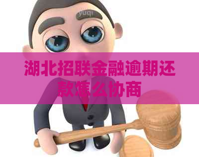 湖北招联金融逾期还款怎么协商