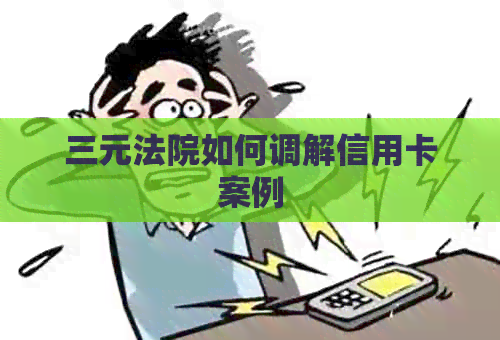 三元法院如何调解信用卡案例