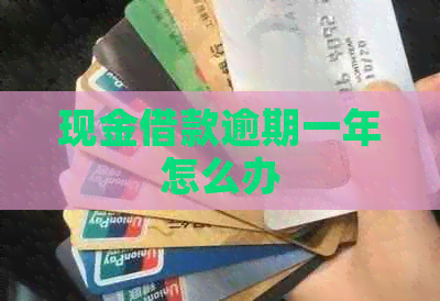 现金借款逾期一年怎么办