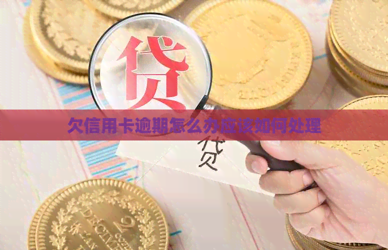 欠信用卡逾期怎么办应该如何处理