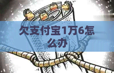 欠支付宝1万6怎么办