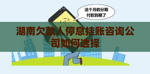 湖南欠款人停息挂账咨询公司如何选择