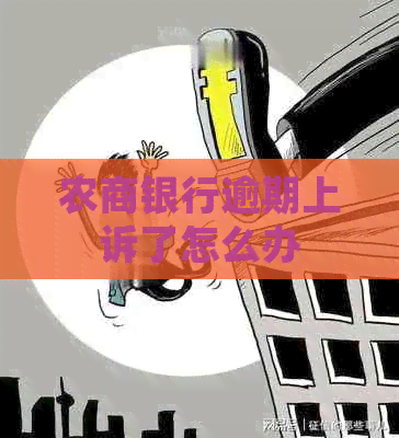 农商银行逾期上诉了怎么办