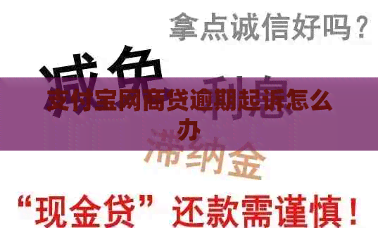 支付宝网商贷逾期起诉怎么办