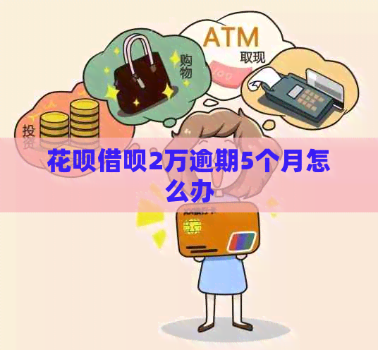 花呗借呗2万逾期5个月怎么办
