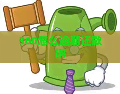 360怎么逾期还款啊