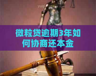 微粒贷逾期3年如何协商还本金