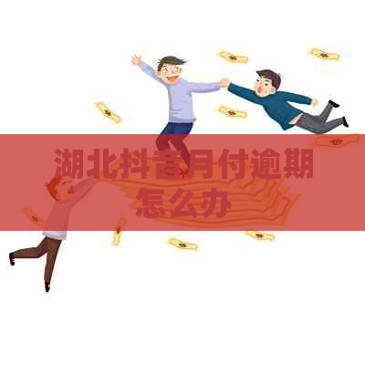 湖北抖音月付逾期怎么办