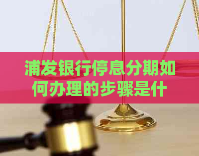 浦发银行停息分期如何办理的步骤是什么