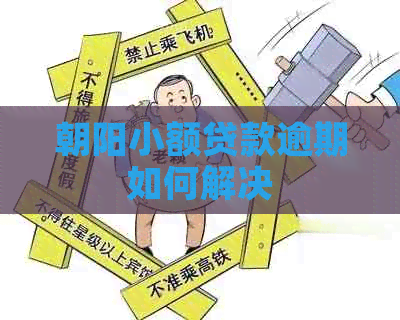 朝阳小额贷款逾期如何解决
