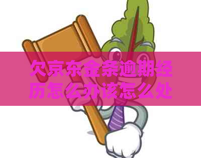 欠京东金条逾期经历怎么办该怎么处理