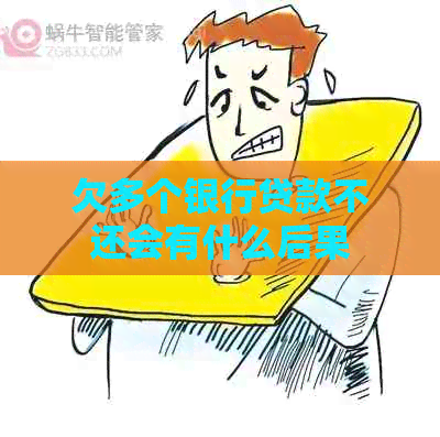 欠多个银行贷款不还会有什么后果