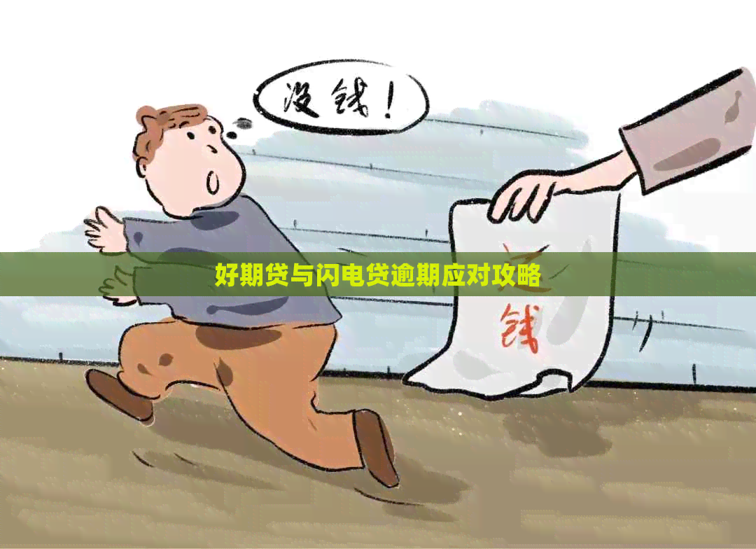 好期贷与闪电贷逾期应对攻略