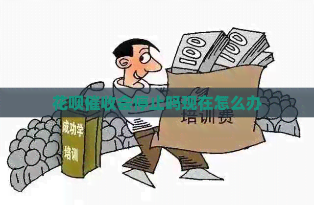 花呗会停止吗现在怎么办