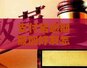 支付宝逾期被加好友怎么办