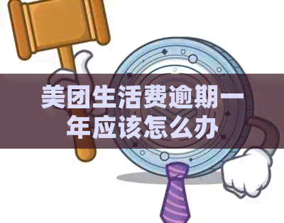 美团生活费逾期一年应该怎么办