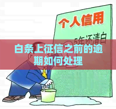 白条上之前的逾期如何处理