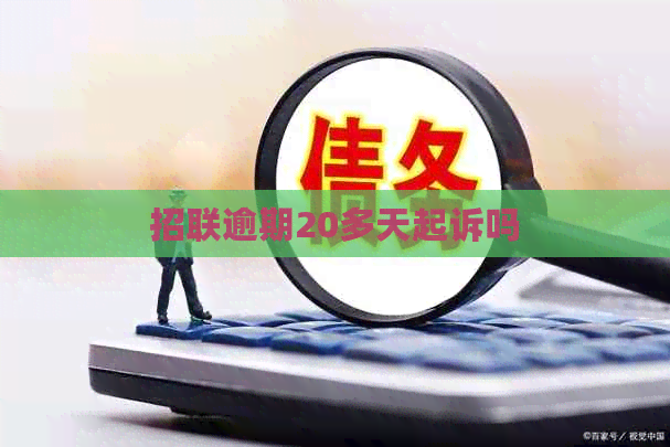 招联逾期20多天起诉吗
