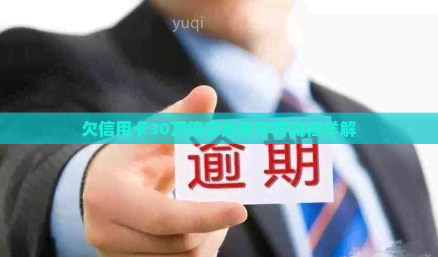 欠信用卡30万停息挂账申请流程详解
