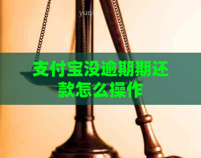 支付宝没逾期期还款怎么操作
