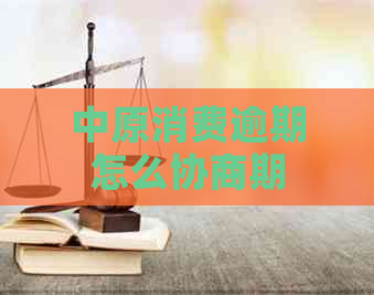中原消费逾期怎么协商期
