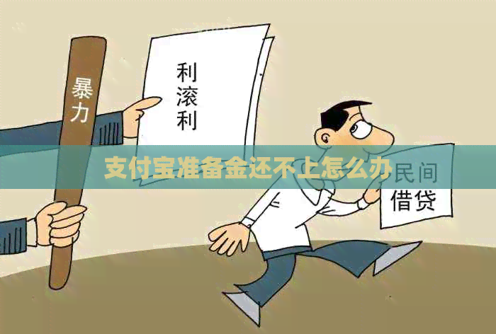 支付宝准备金还不上怎么办