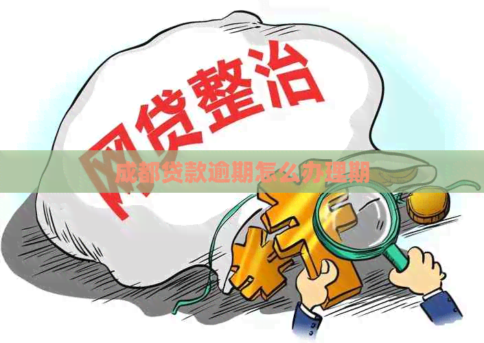 成都贷款逾期怎么办理期
