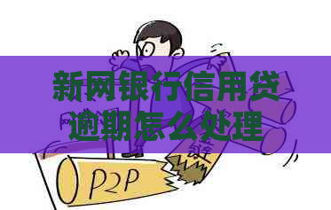 新网银行信用贷逾期怎么处理