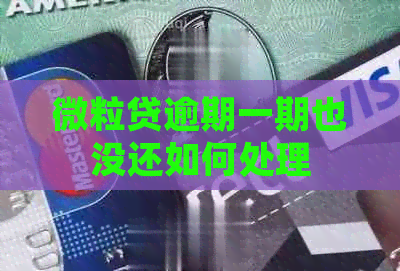微粒贷逾期一期也没还如何处理