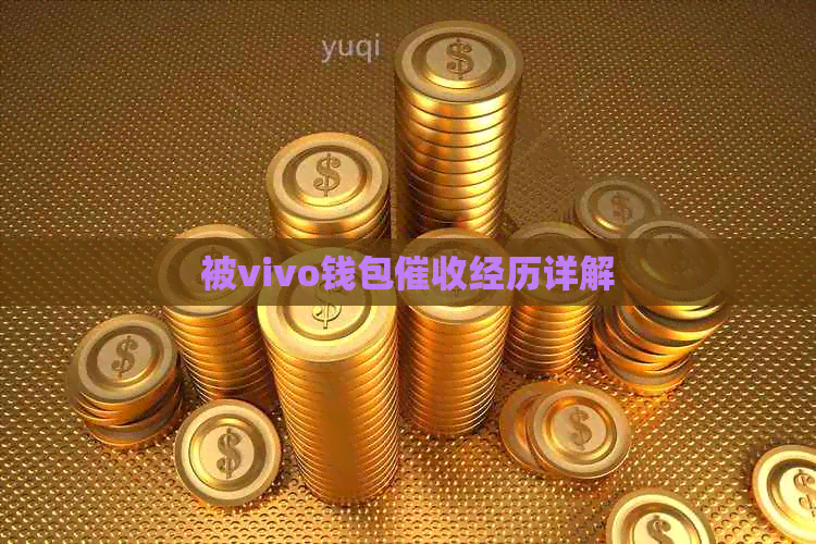 被vivo钱包经历详解