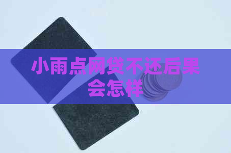 小雨点网贷不还后果会怎样