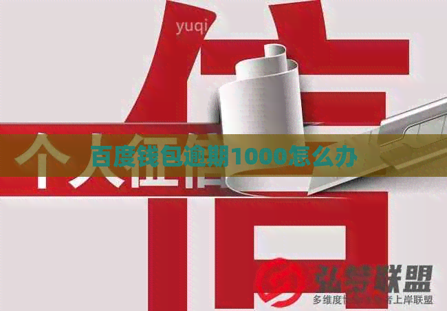 百度钱包逾期1000怎么办