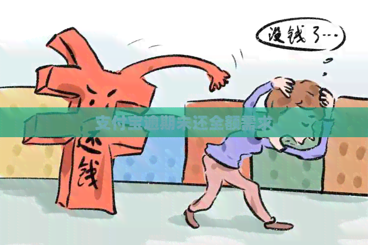 支付宝逾期未还全额需求