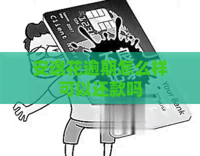 安逸花逾期怎么样可以还款吗