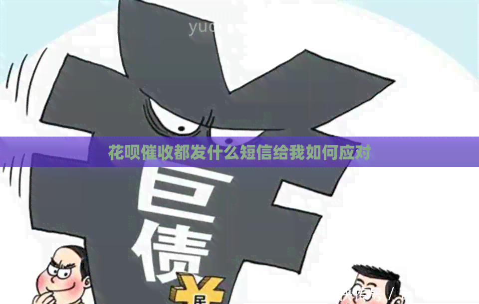 花呗都发什么短信给我如何应对