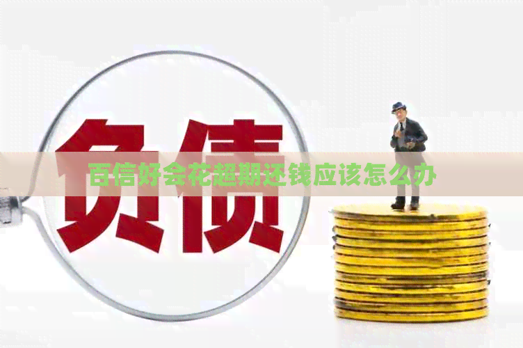 百信好会花超期还钱应该怎么办