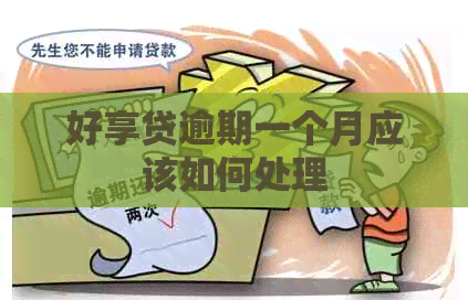好享贷逾期一个月应该如何处理