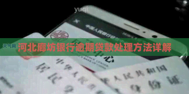 河北廊坊银行逾期贷款处理方法详解