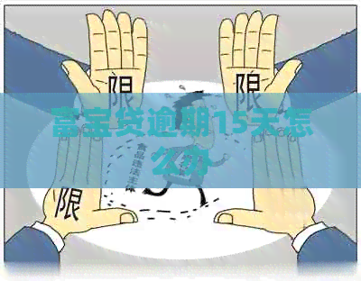 富宝贷逾期15天怎么办