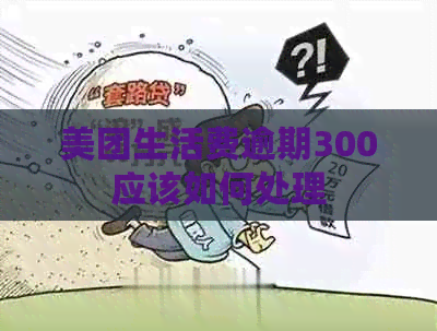 美团生活费逾期300应该如何处理
